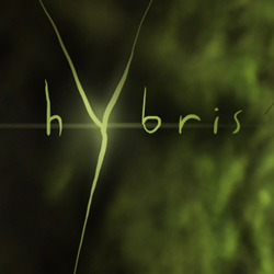 Hybris Platform Puzzle